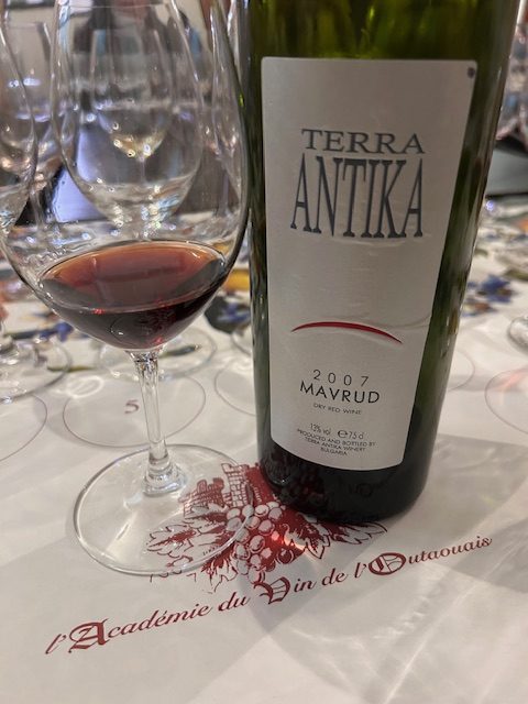 Terra Antika
