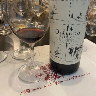 Dialogo Dialogo