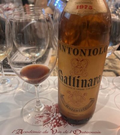 Gattinara Gattinara